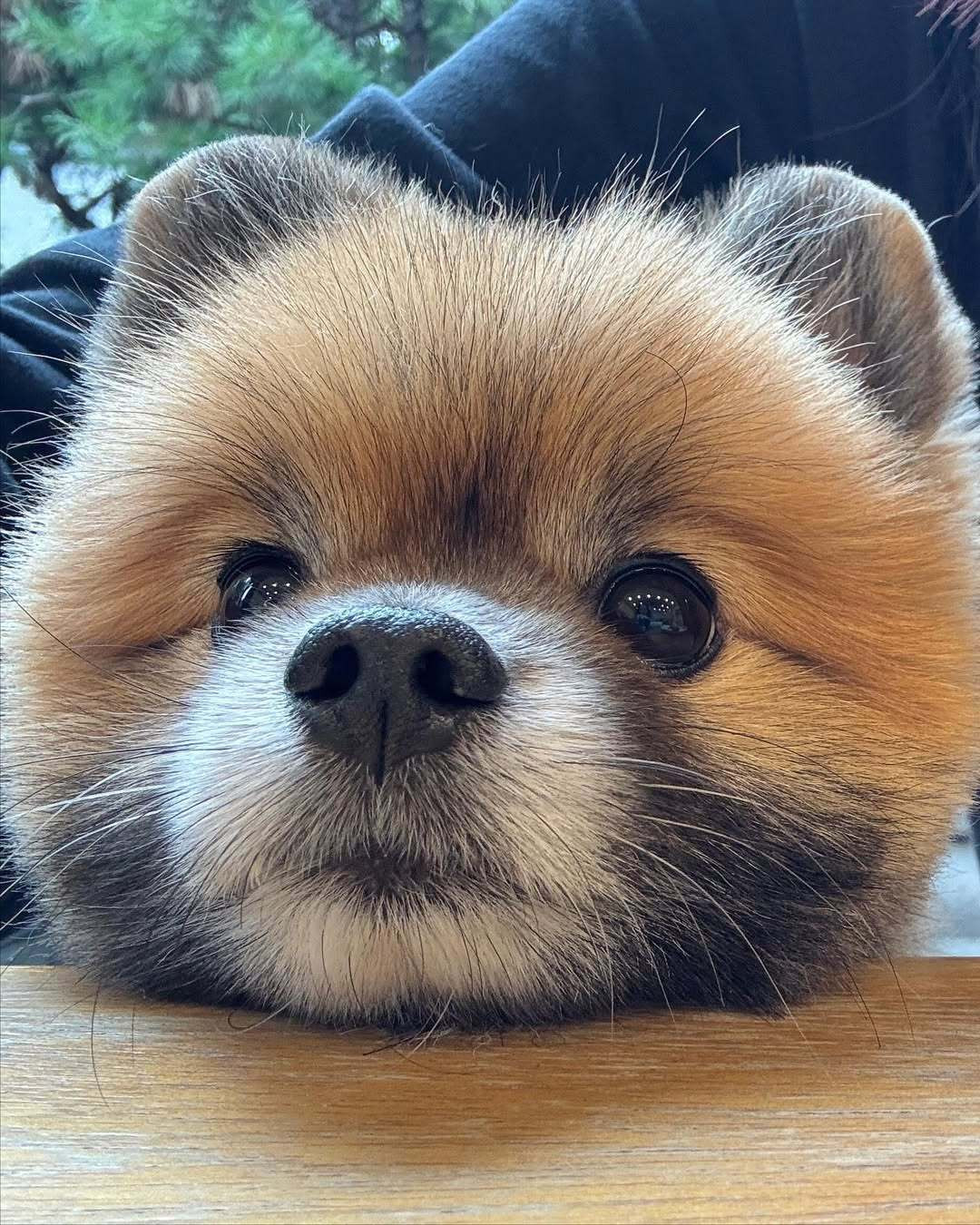 你在吃什么好吃的？​​​