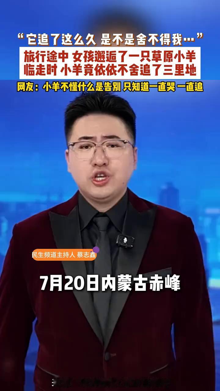 一月二十日内蒙古赤峰，一位前来旅游的女孩邂逅了一只草原小羊，于是就陪小羊玩了一会