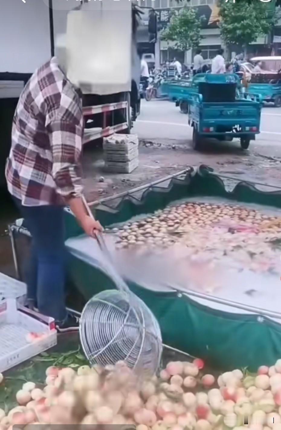 我相信这是正常的给桃子洗澡，把身上的毛毛洗掉，就这样敢在马路边给桃子洗澡了。还是
