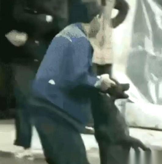 真的太气人了！千万别再相信养狗人那句“我的狗不咬人”！重庆这段监控实录，看完没人