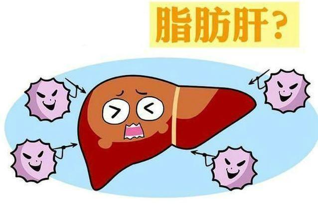 得了脂肪肝怎么办? 别担心, 这种叶子泡水喝能“吃掉”脂肪肝, 比药还管用!