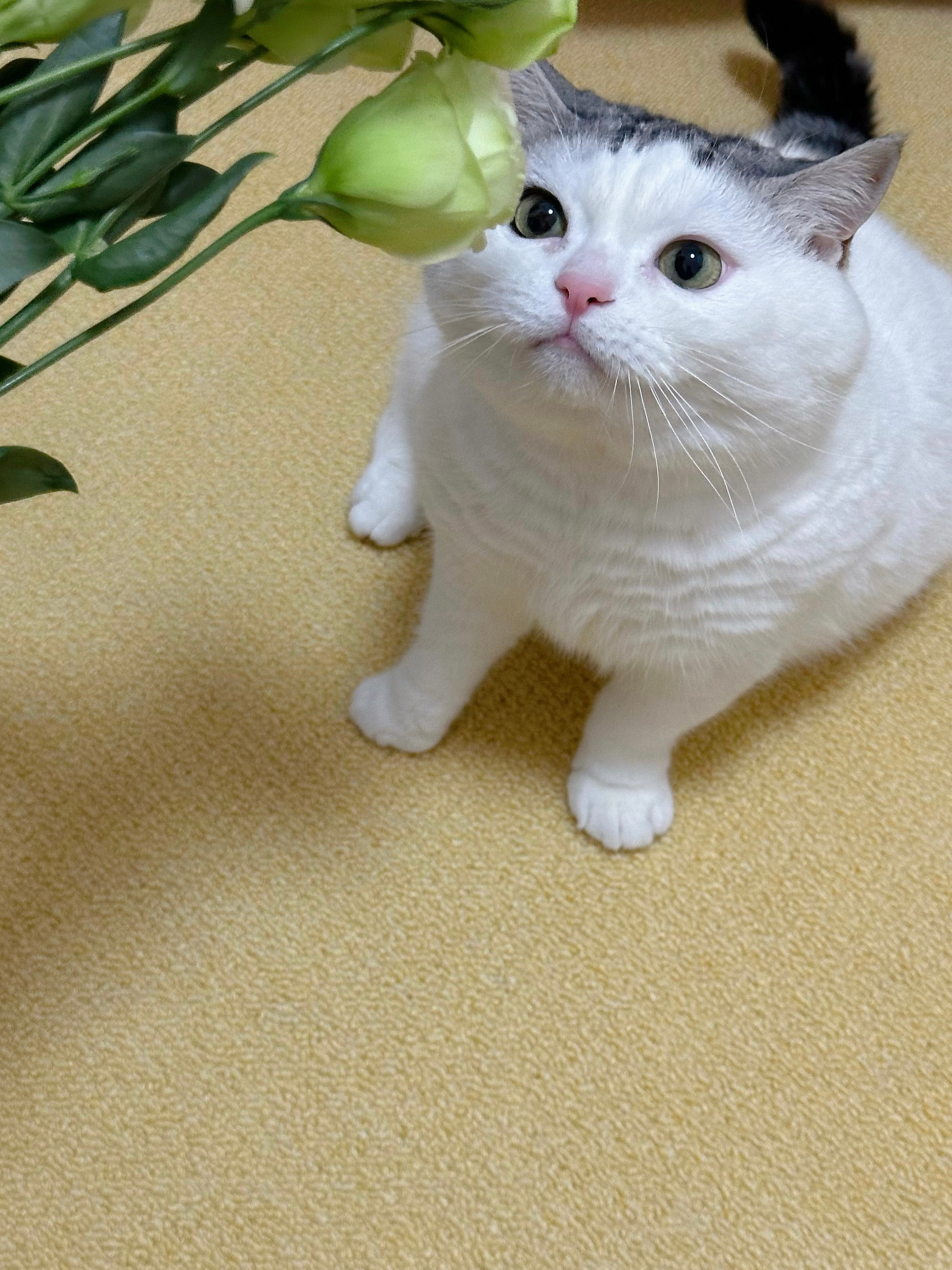 宝宝你是一只大冬瓜🥲🥲​​​