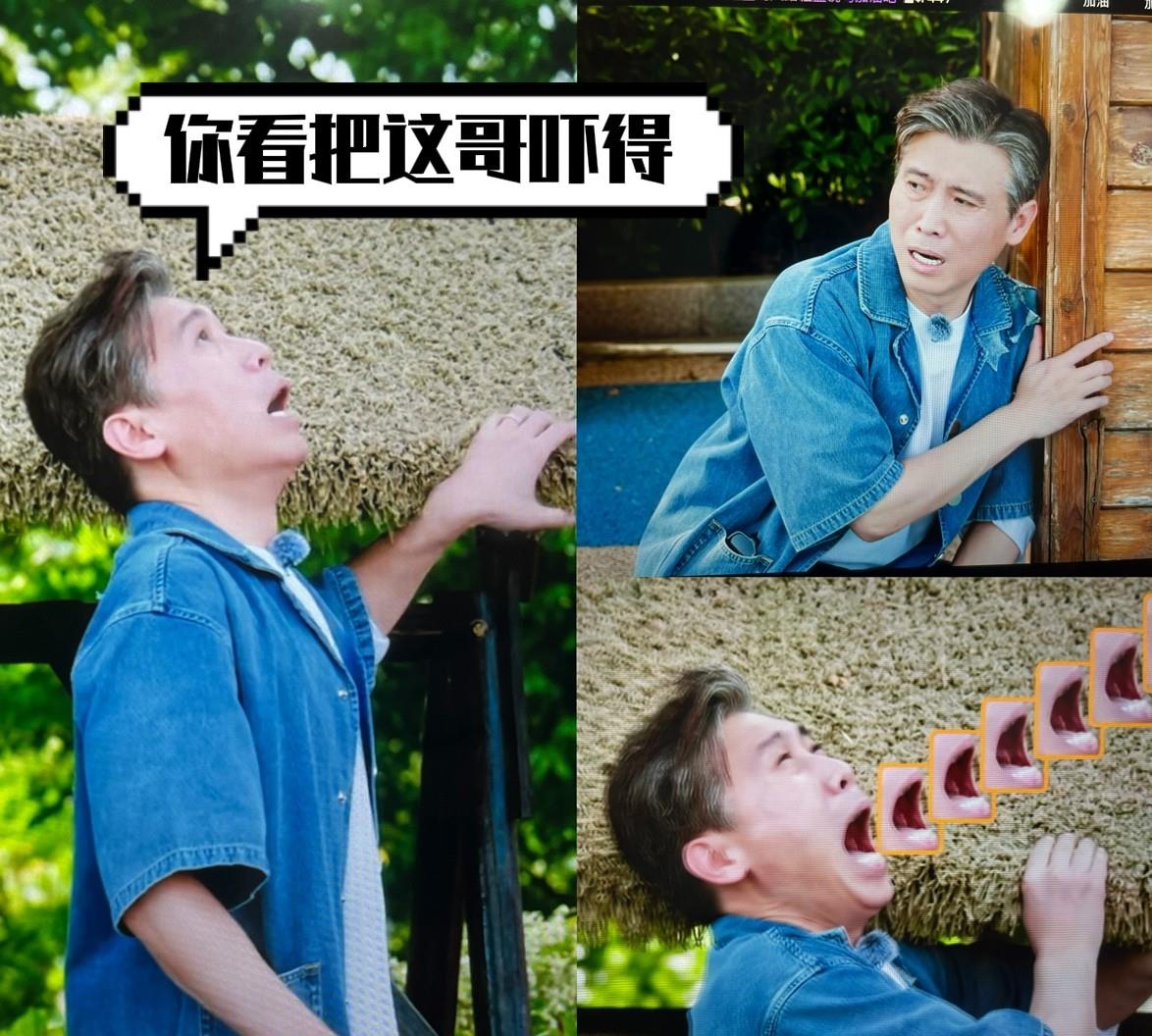 李乃文，求求你了！要不你别去演戏了，比起演戏综艺更适合你！在