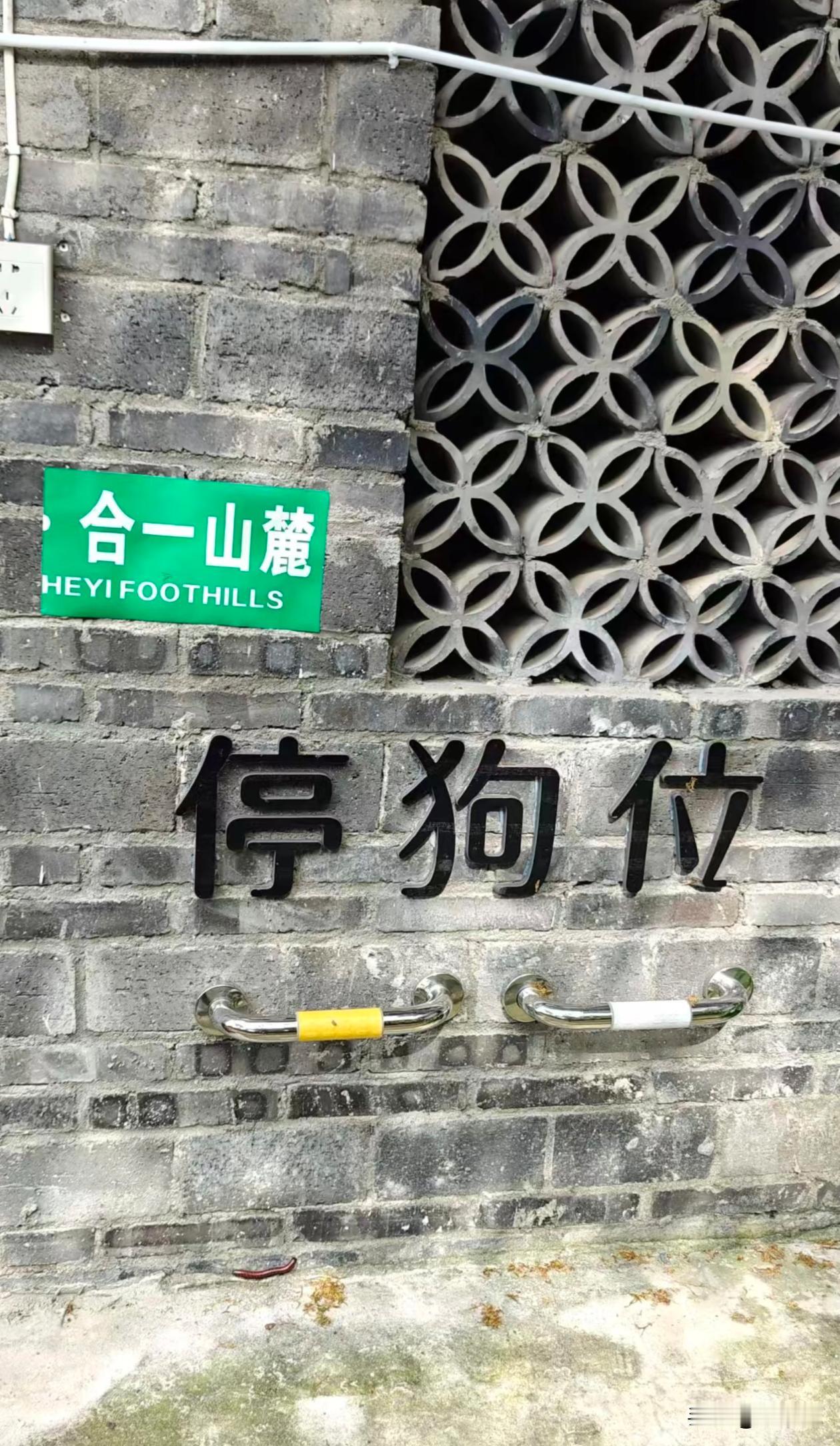 最尊重狗狗的人出现了