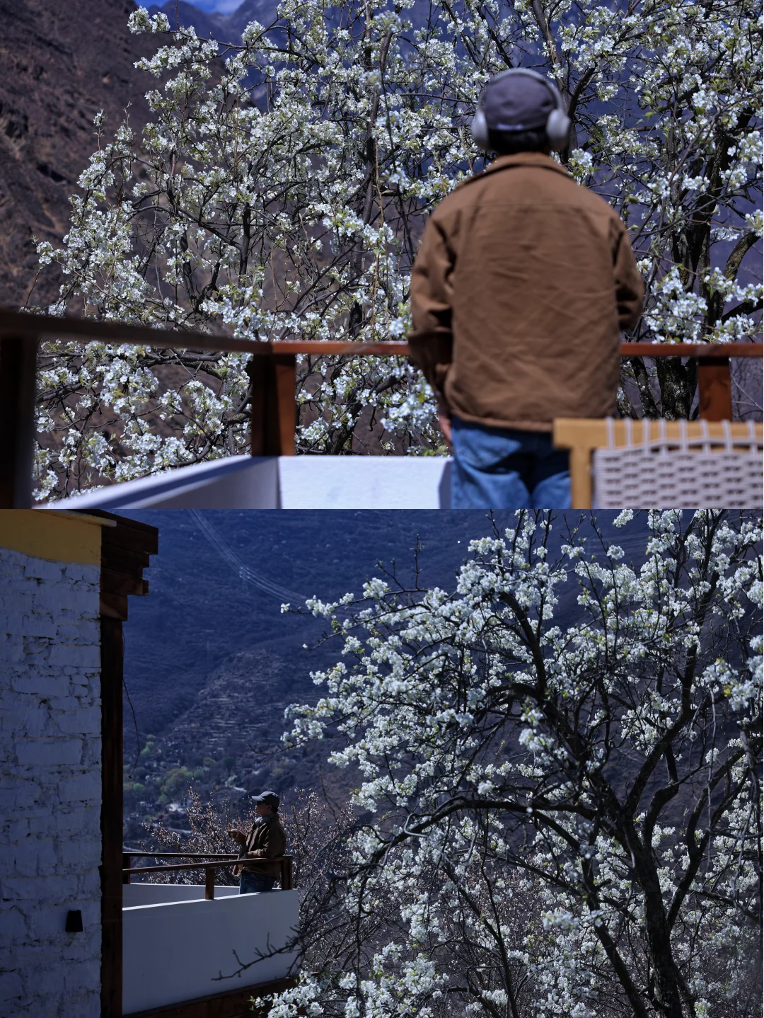 在川西悬崖藏寨，我住进了推窗如画的院子！