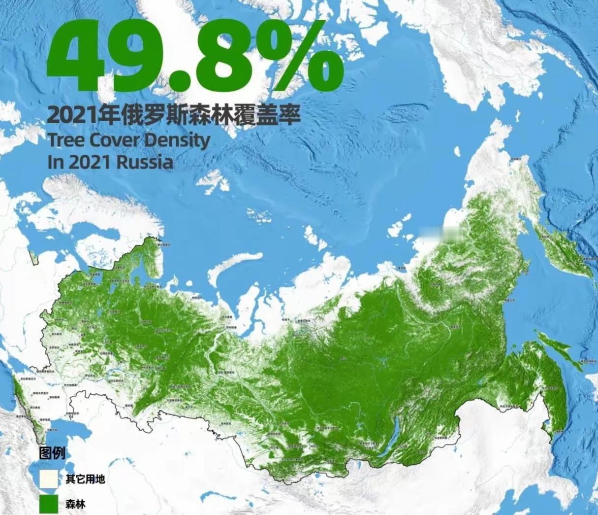 俄罗斯的森林，才是万木参天，密林成海，像极了3亿年前的石炭纪时代。它的总面积约占