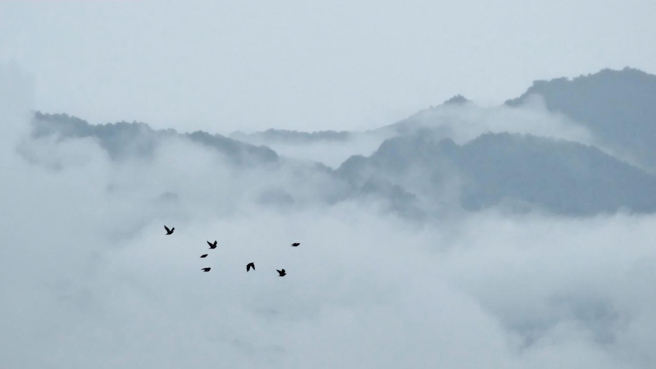 陈仓烟雨云雾缭绕人间仙境自然风光每一帧都是热爱