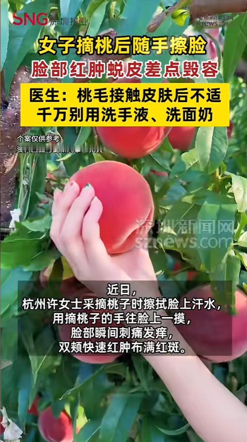 “过敏人的噩梦！”6月15日报道，浙江杭州，一女子去桃园摘桃，脸上热出了不少汗，