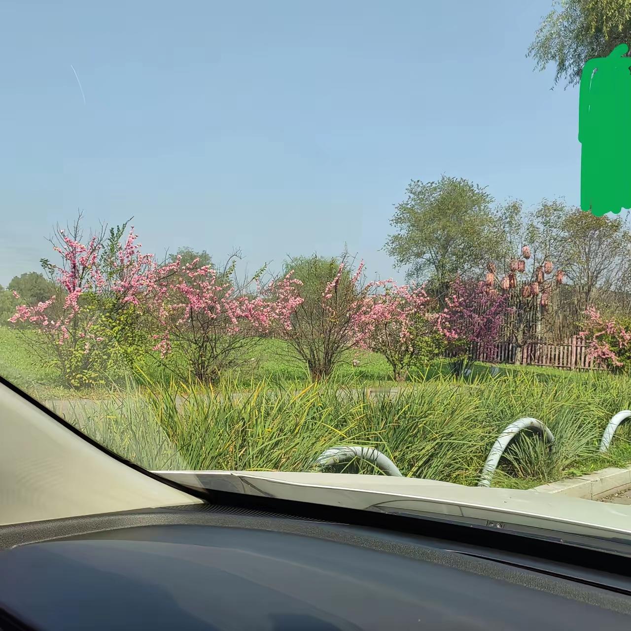 孩子结婚后，我不会和亲家来往的。这话可能有人觉得“生分”，但我却觉得是保护