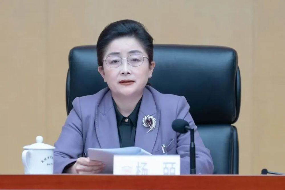 昆明市政协党组书记、主席杨皕, 主动投案