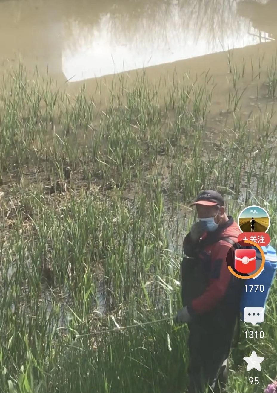 有人发现一陌生人在沟渠里喷洒农药，当场喝止后询问原因，对方竟称“为了草更好生长”