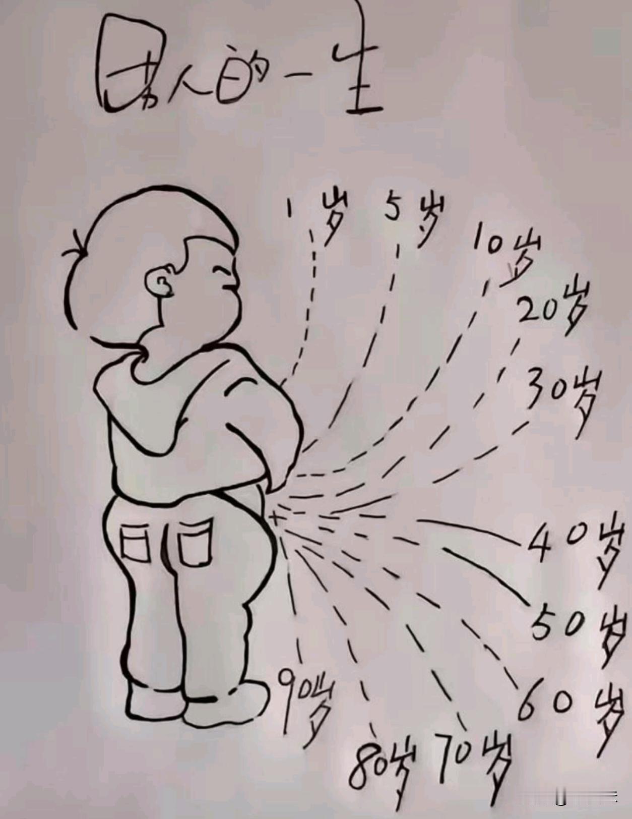 一图概括男人的一生