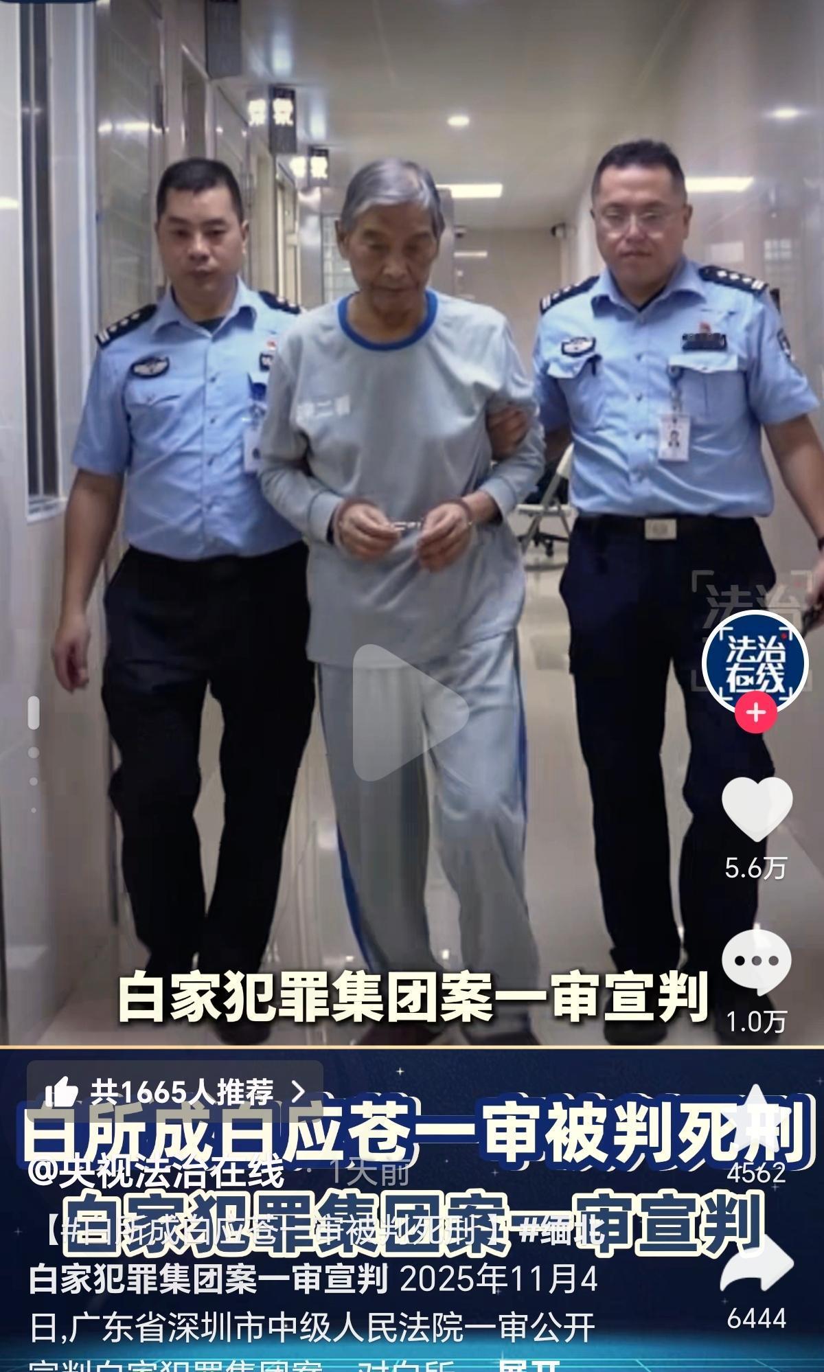 别纠结白应苍的骨灰盒咋处理了！他的结局早藏在犯下的罪孽里了。