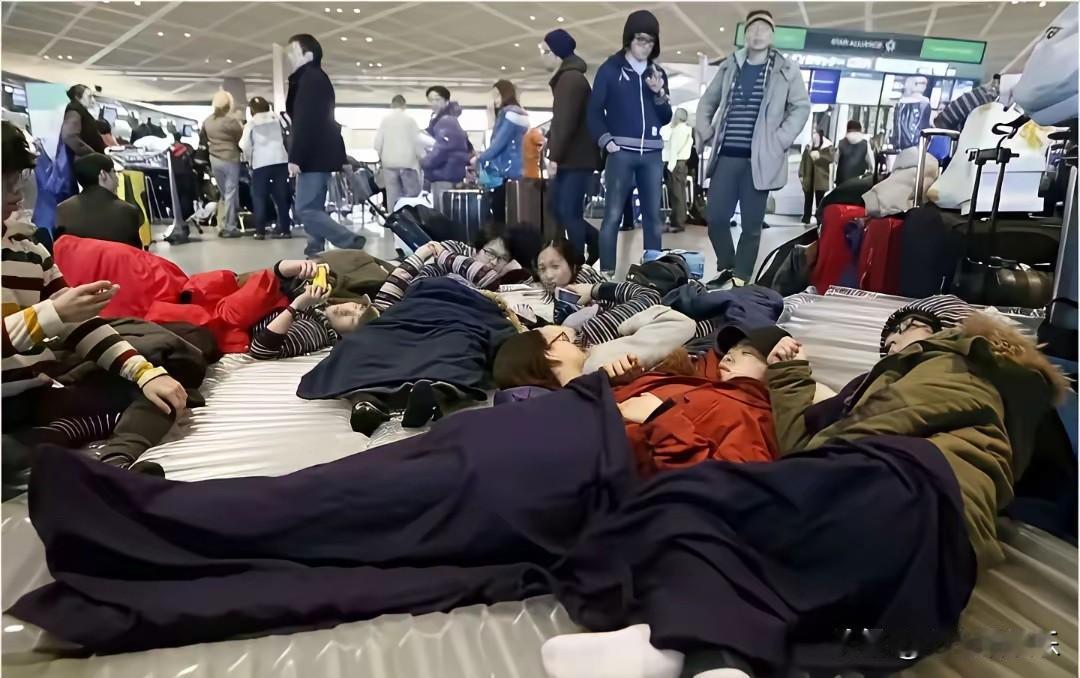 这就是有钱人的傲慢！他们认为自己有钱了就该旅游玩乐，认为他们只是个