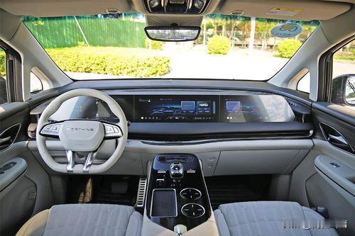 国内燃油车五强1.奇瑞汽车，12.99万辆。2.红旗汽车，11.86万辆