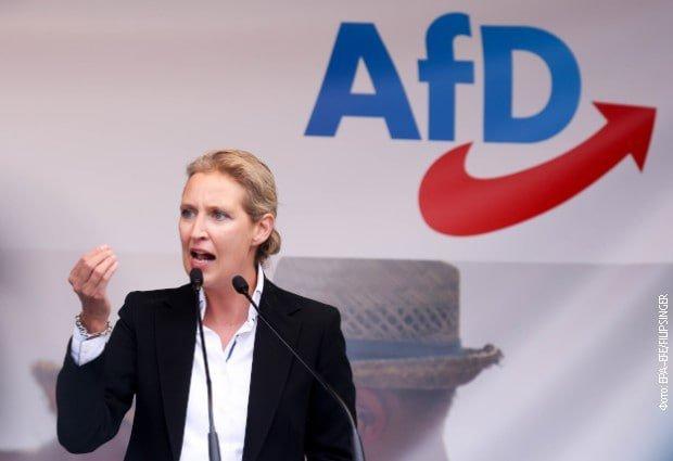 魏德尔呼吁德国退出欧元区，称“马克时代更好”德国另类选择党（AfD）联合主席