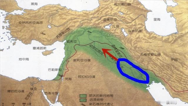 这是七十年代的叙利亚。叛军占领全境，后果就是霍梅尼执政后的伊朗以及塔利班执政的阿