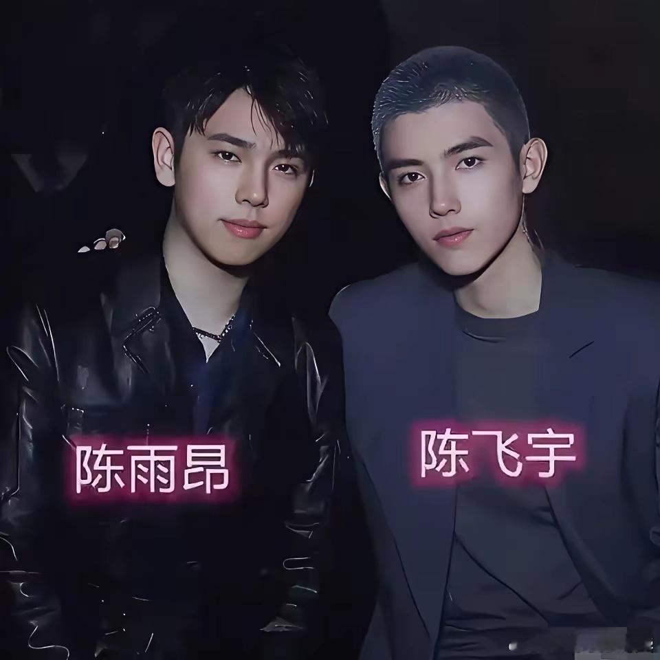 陈凯歌另外一个儿子也很帅啊​​​