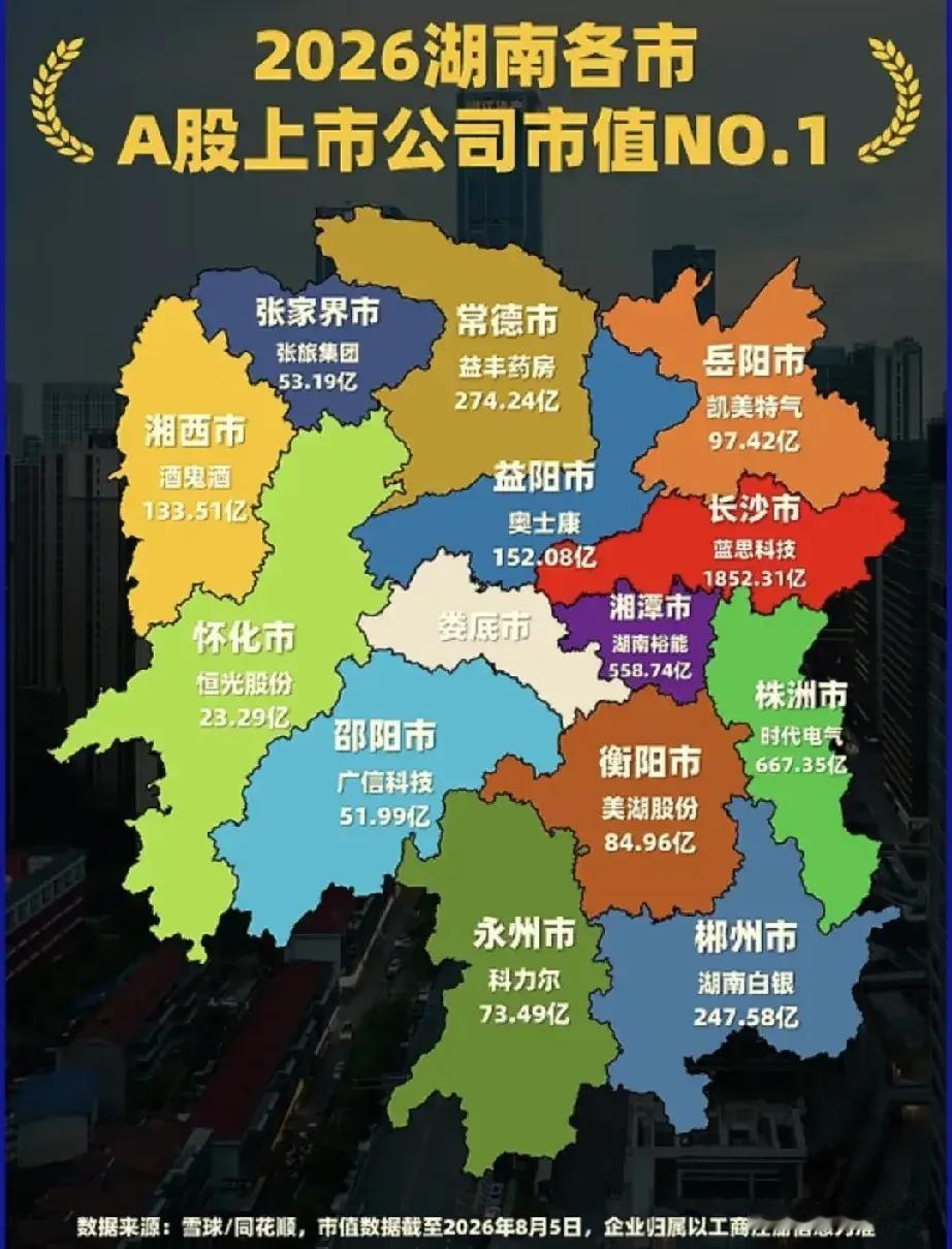 湖南每个市的A股第一名是谁？长沙蓝思科技首屈一指！湘潭湖南裕能，株洲时代电气，