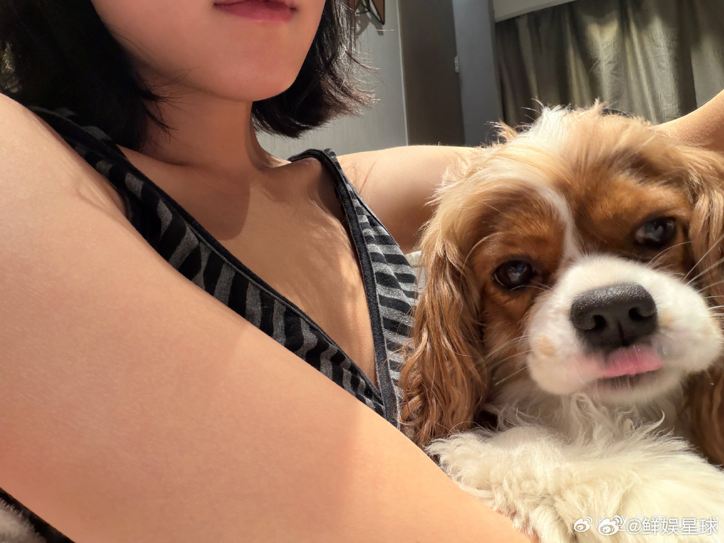 赵今麦抱拿铁合照赵今麦怀里长了一只小狗赵今麦抱拿铁合照