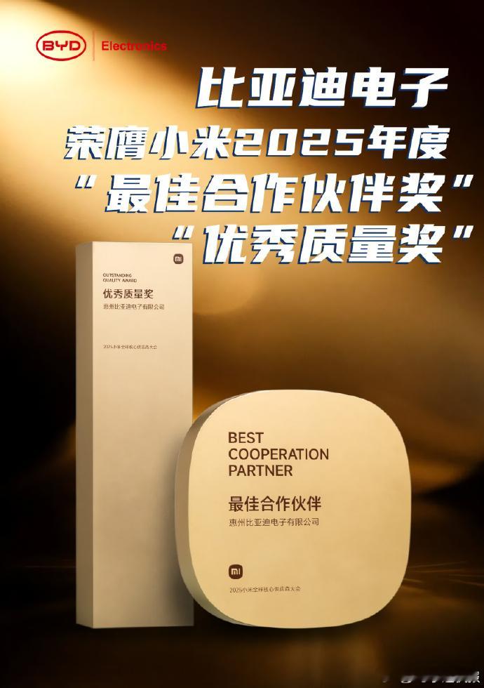 比亚迪电子获得小米2025年“最佳合作伙伴奖”，“优秀质量奖”，小米汽车目前还是