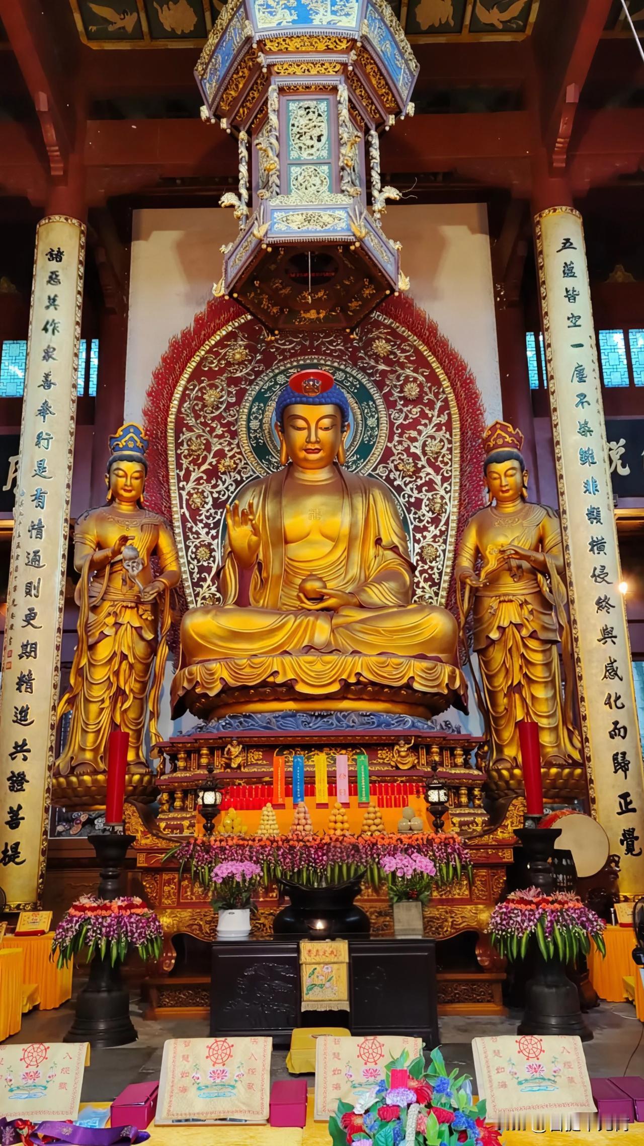 站在灵隐寺药师佛前，才懂成年人最朴素的愿望，从来不是大富大贵。是他左手托药