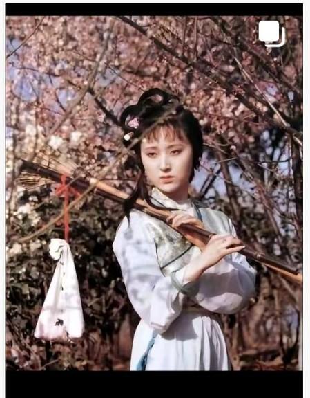 越想越毛骨悚然！《红楼梦》里藏着的这些细节，你真的看懂了吗？你可能以为黛玉葬花只