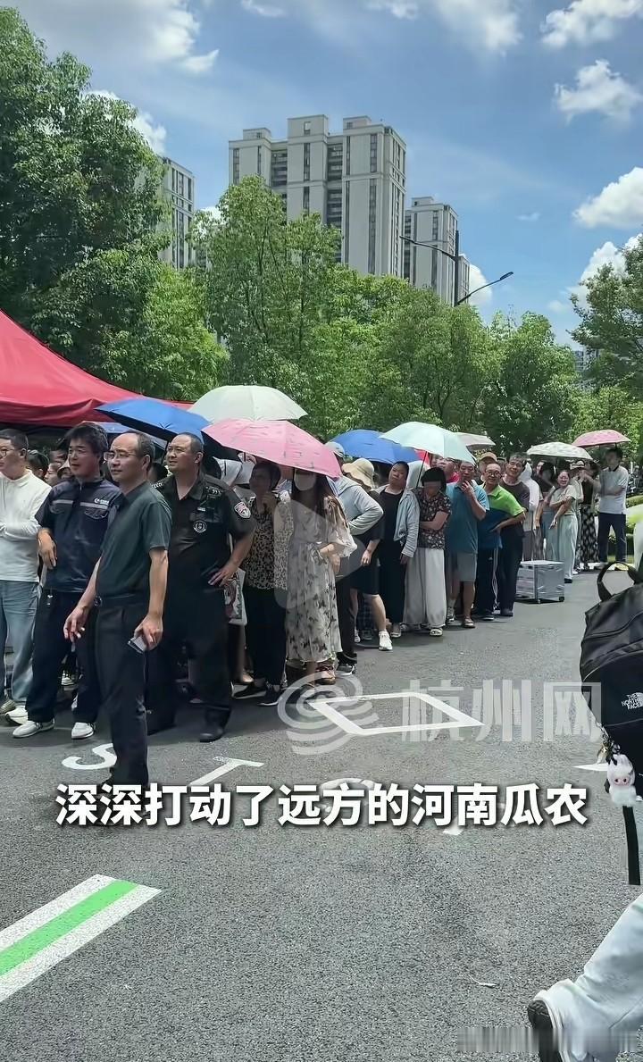 泪目了！当河南瓜农还在为卖瓜愁眉不展时，全国各地的人都已经开始用自己的方式去助农