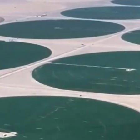 这真是奇迹啊！干旱的塔克拉玛干沙漠，竟然长出了树木、苜蓿、冬小麦。曾几何时，这片