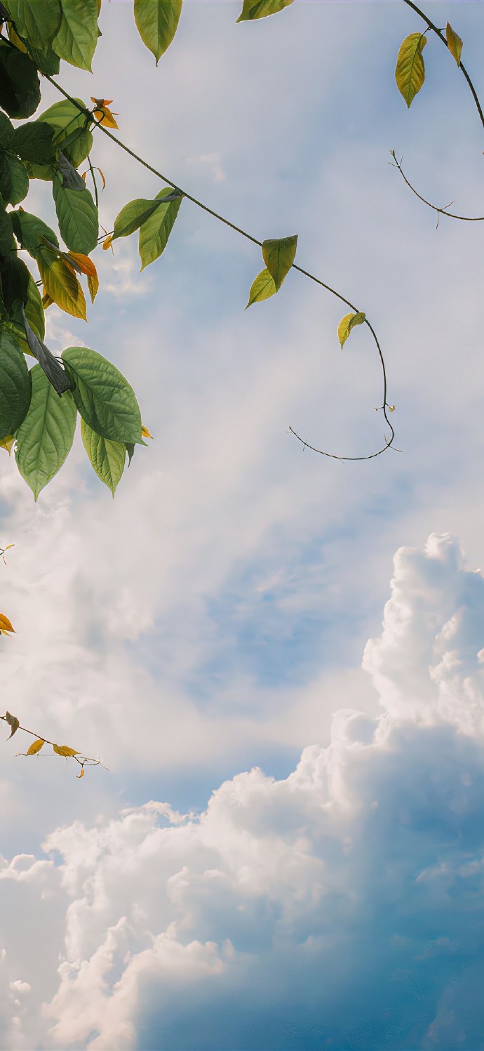 一组非常好看的壁纸