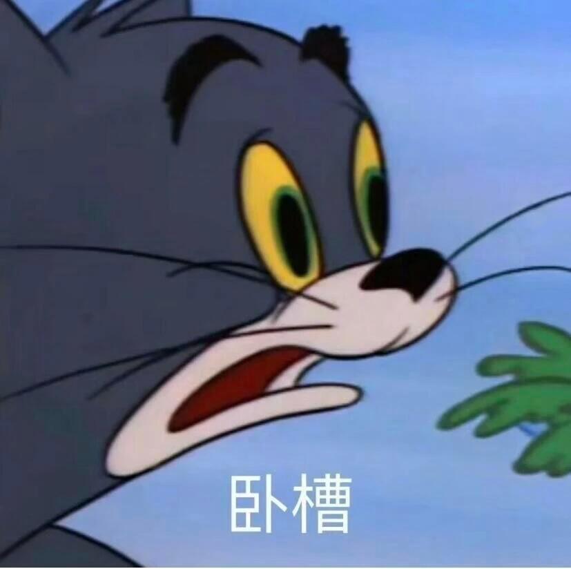 得知公司没有年假的我：？！！
