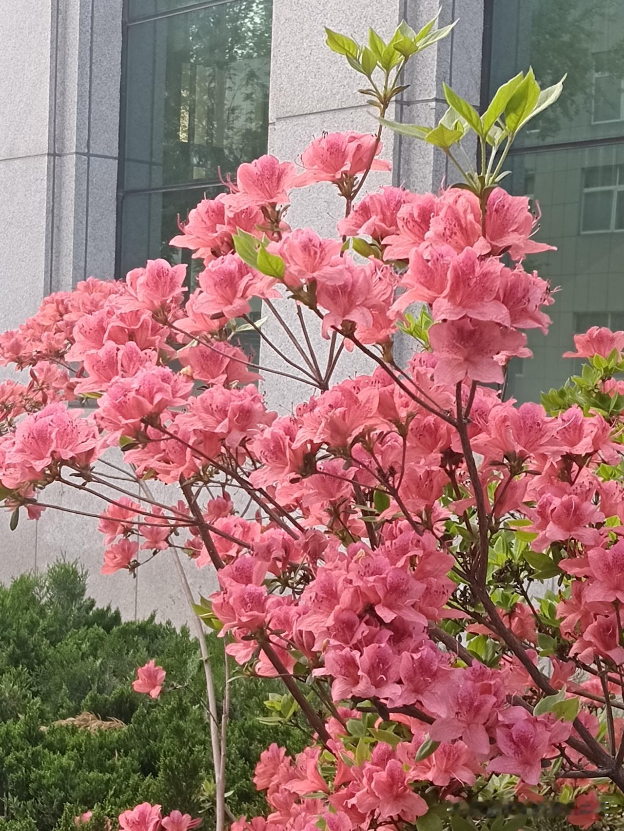 50+以后，才明白的真相：1.家境一般就早点结婚，结婚改命！2.通过上班想财