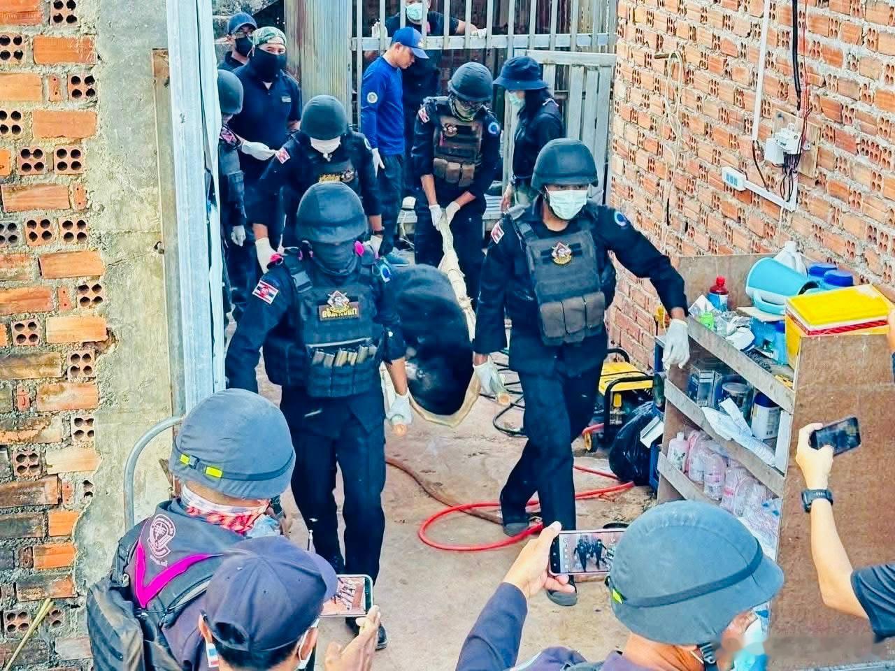 这是在一个叫做ThmorDa的柬埔寨电诈中心发现的狮子和黑熊，这到底是用来观赏