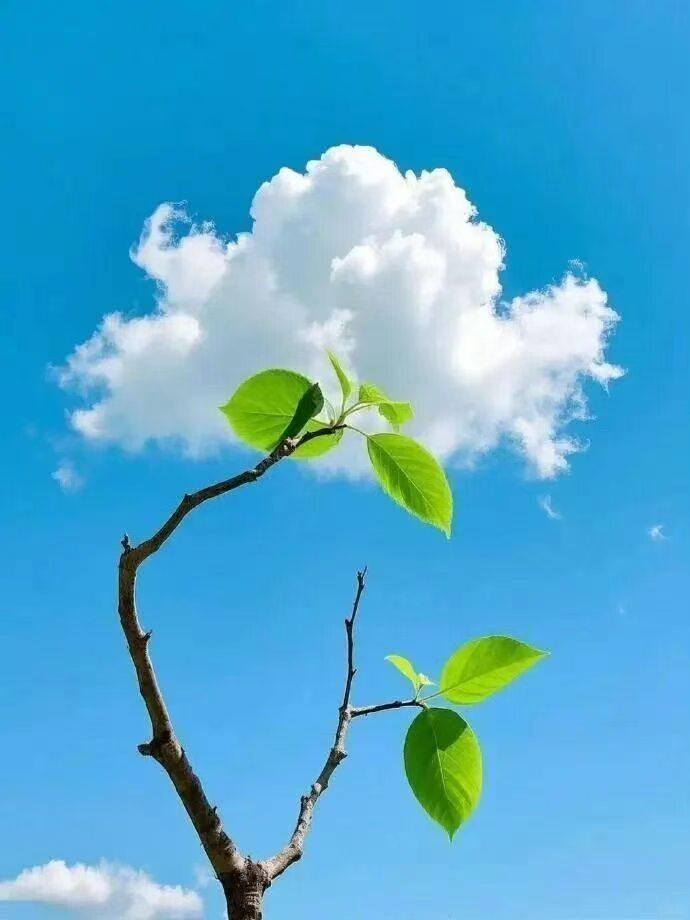 任何关系，不过相识一场。闺蜜给我发来个视频，让我仔细看看那人是谁。视频中