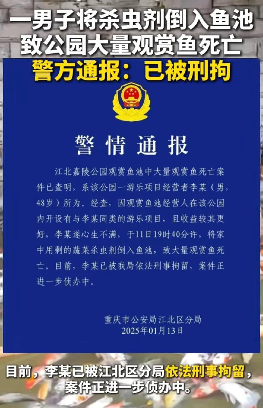 重庆观赏鱼死亡，投毒的李某，肯定后悔得肠子都黑了！已被刑拘，过不了年了，投毒罪至