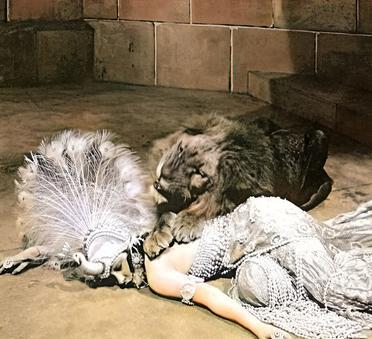 这是1919年美国女演员格洛丽亚·斯旺森和一只狮子一起拍电影。过去，影视剧组很少