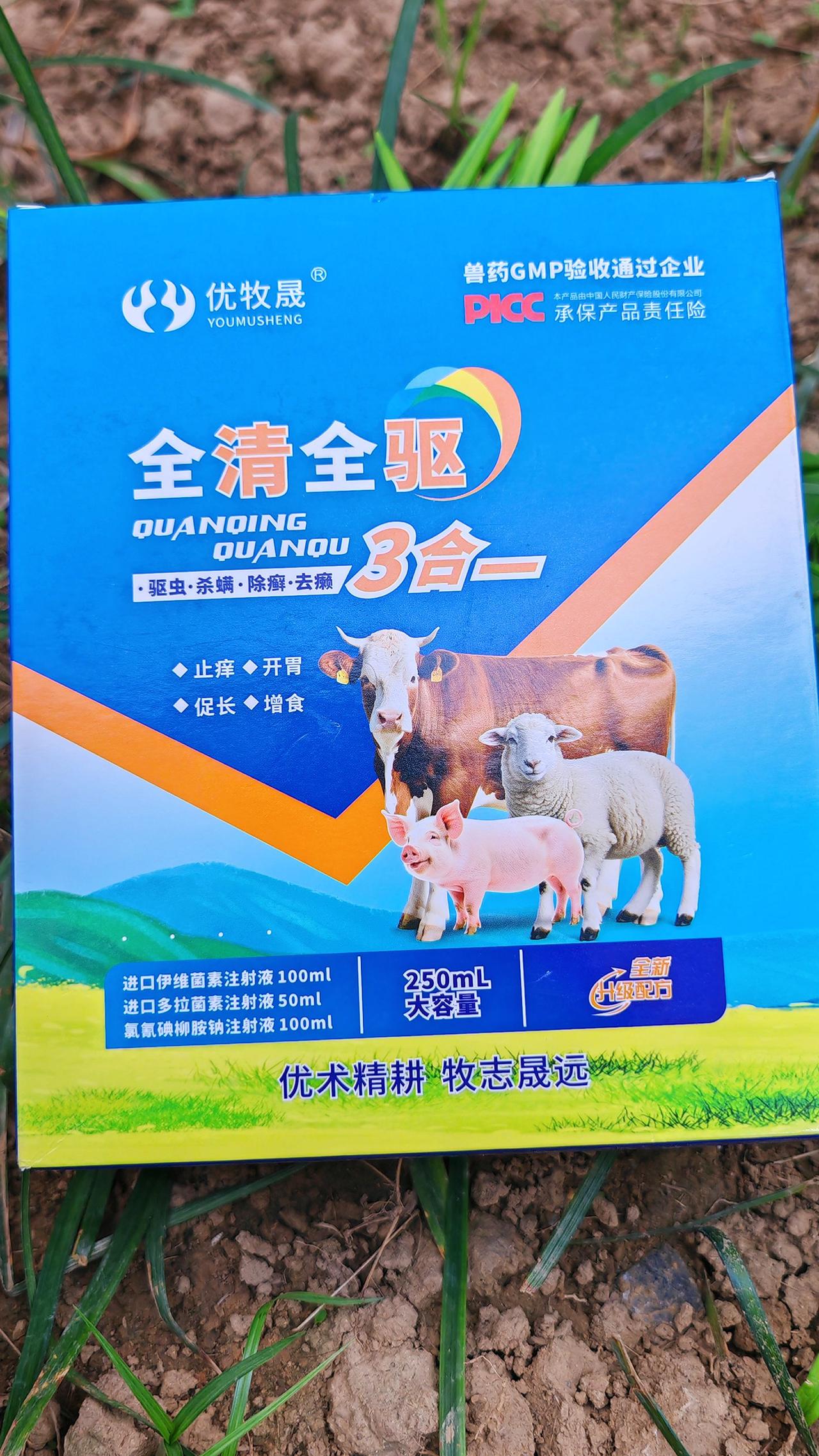 养羊人农村养羊牛羊养殖