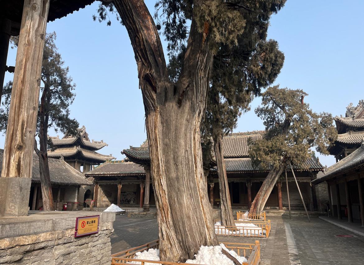 古代的县级城隍庙，融合了元、明、清三朝特征，庙内的千年古柏因为时间漫长，树上还长