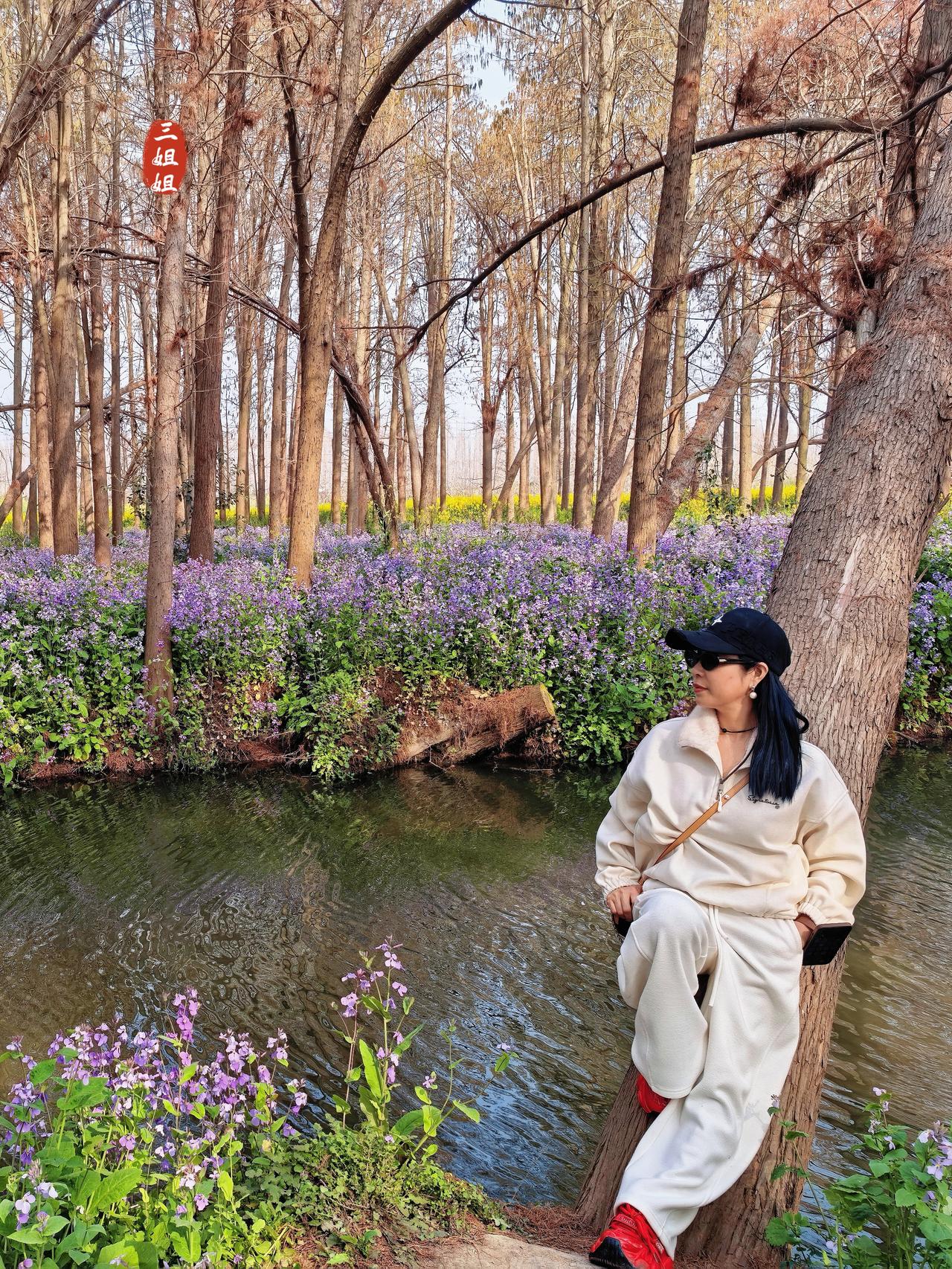 泰州必打卡榜首景点，秘境般的水杉花海，治愈系森林氧吧。许多人都不知道，泰州藏着