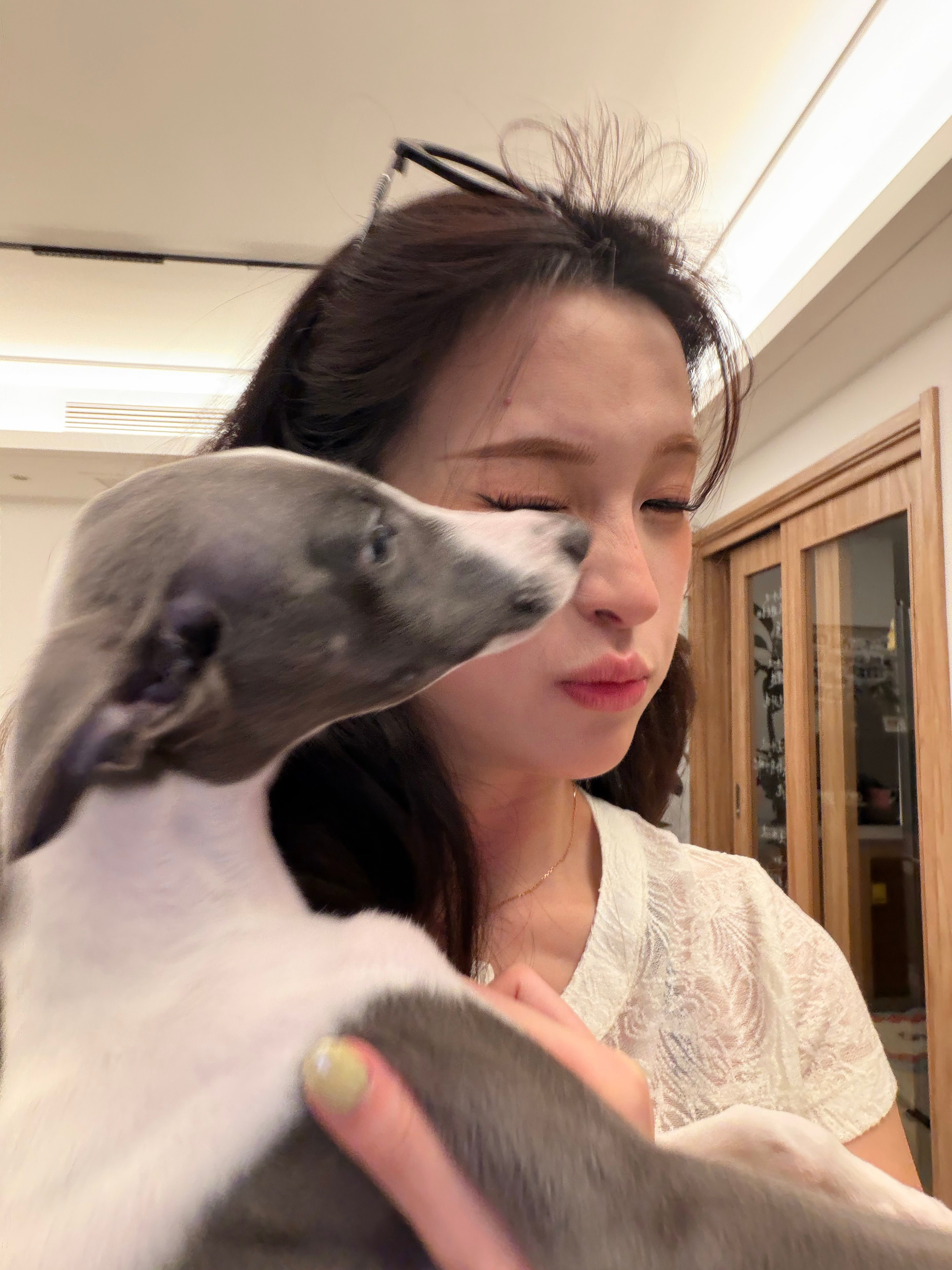 粘人🐶