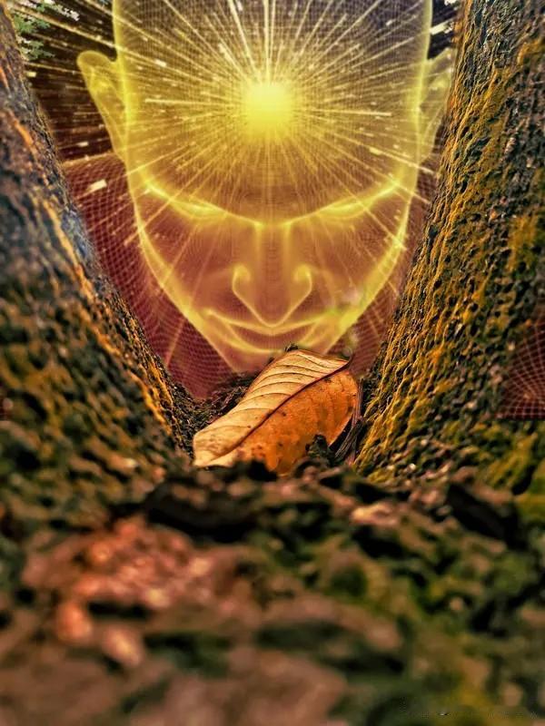 在这个世界上聪明的人有很多，可能有无数的聪明人，但是真正有智慧，拥有大智慧的