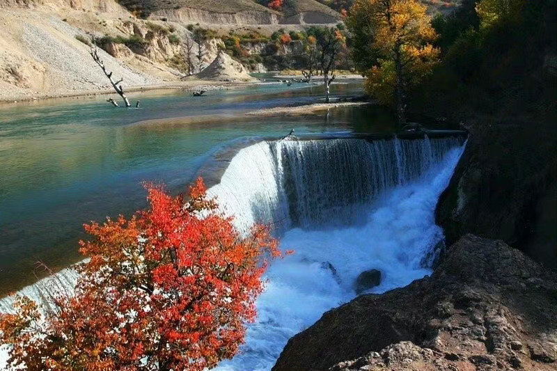 新疆伊犁四季皆有景，一步一风景！