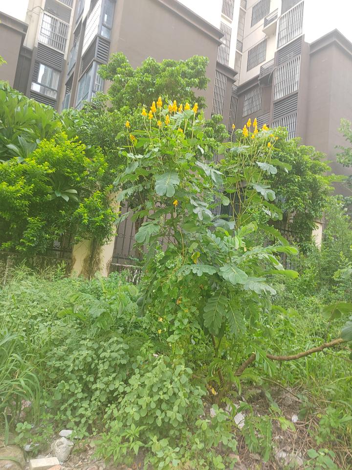 今日的生活到底怎么过才算美好呢？今日的生活怎么过才美好，我觉得没