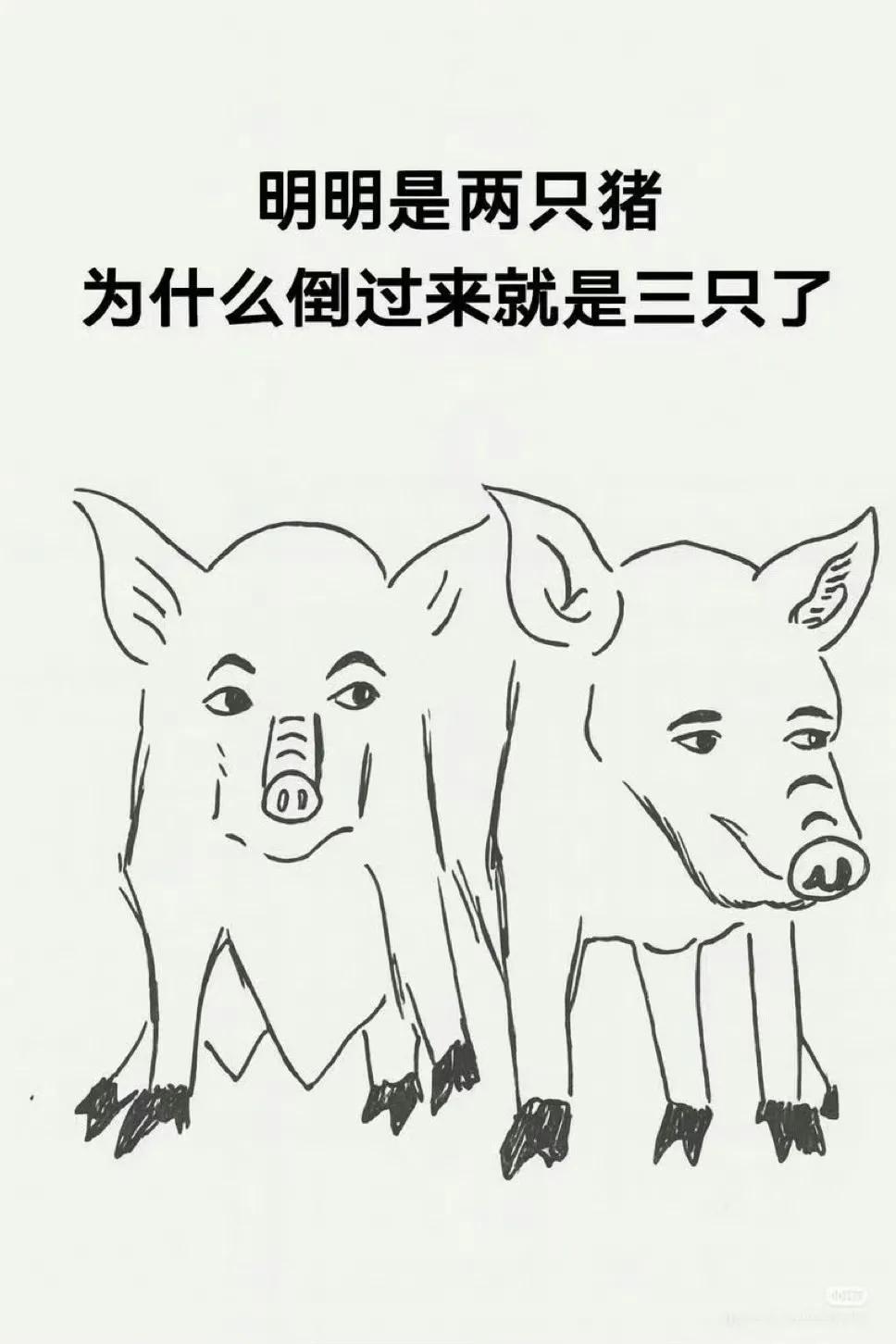 [捂脸哭][捂脸哭][捂脸哭]