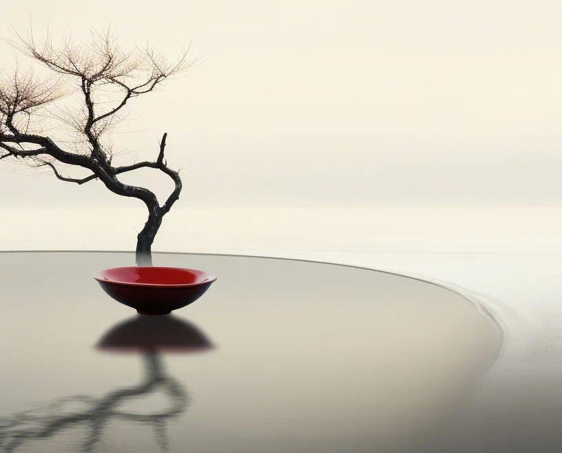 天地造物，贵于一个“真”字；人生造化，贵于一个“诚”字。皈依于真诚，真诚待人，真