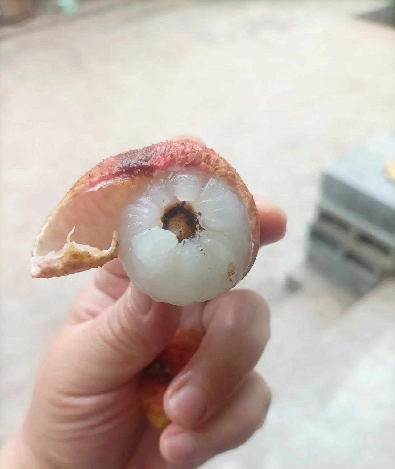 原产地卖不出去，不产地却价高吃不起，荔枝产地的朋友肯定笑话我们外地的了，