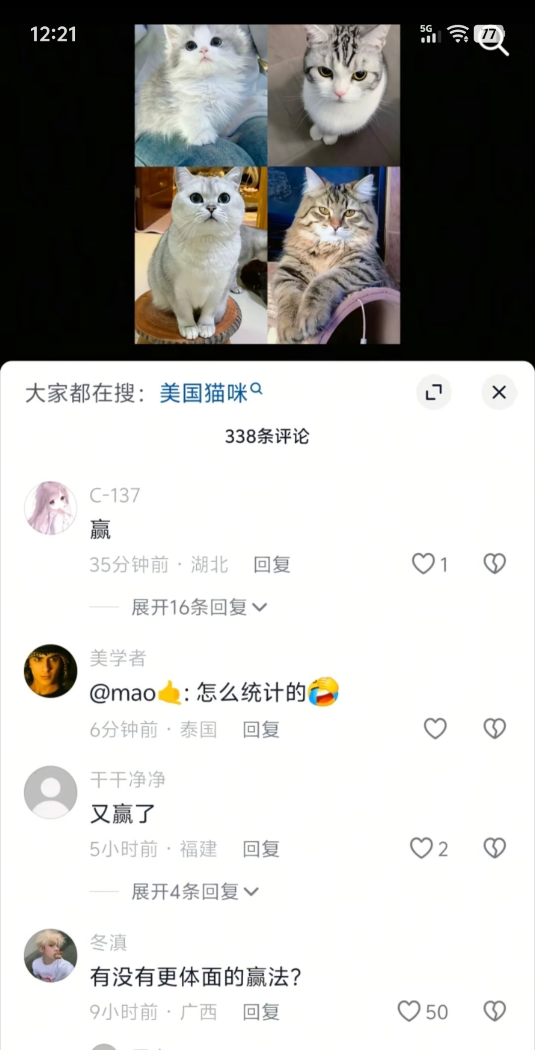 猫咪也能触发关键词？