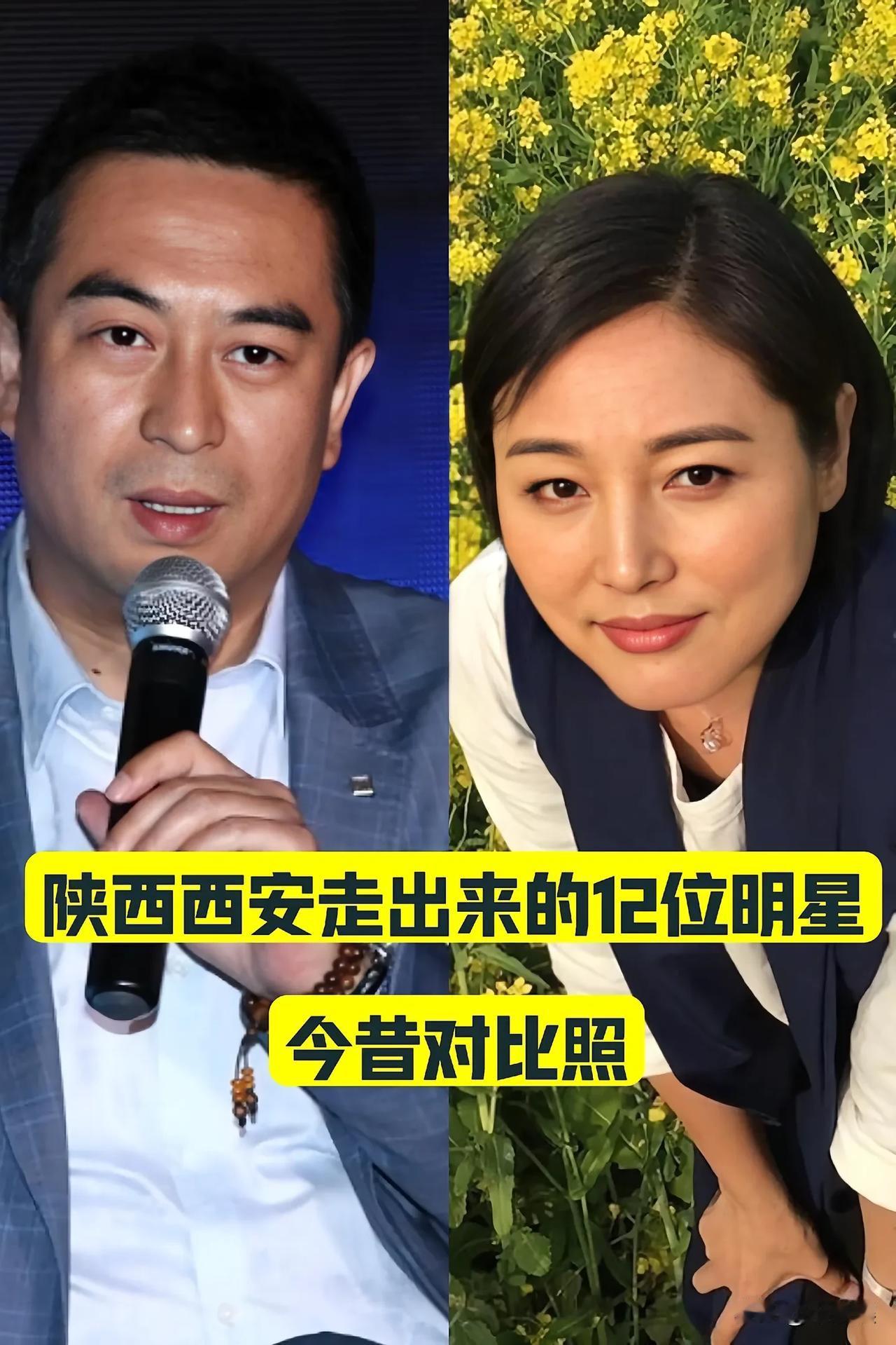 “从陕西走出来的”12位明星今昔对比