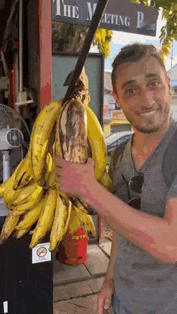 道理我都懂，但香蕉为何那么大