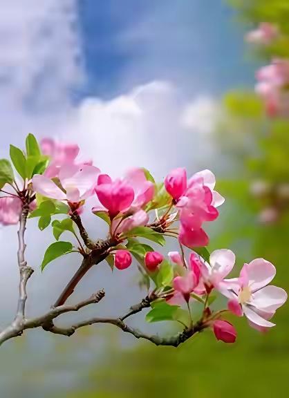 女人的顶级魅力从不是脸蛋和身材而是有风骨有涵养知冷暖懂分寸不纠